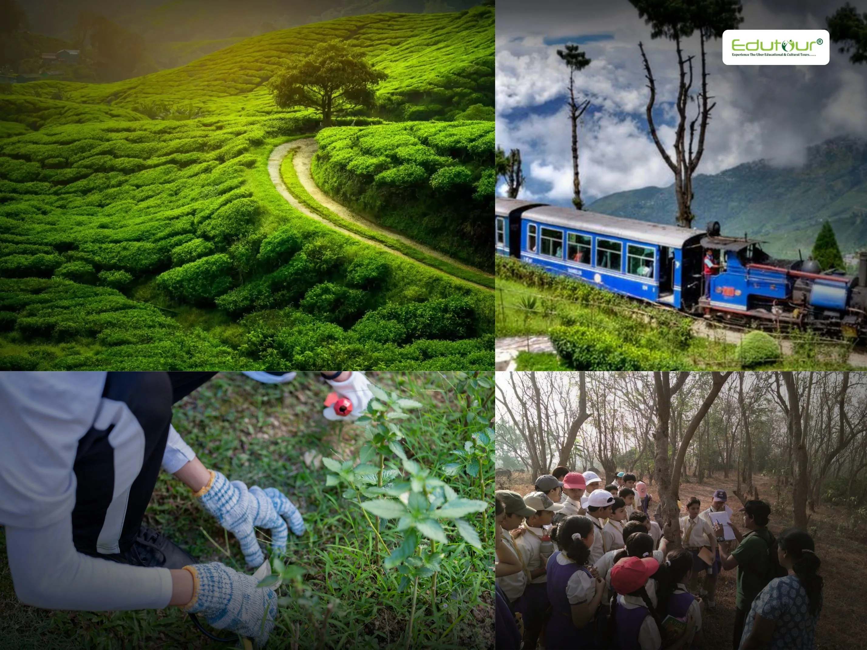 summer vacation places in India for school students